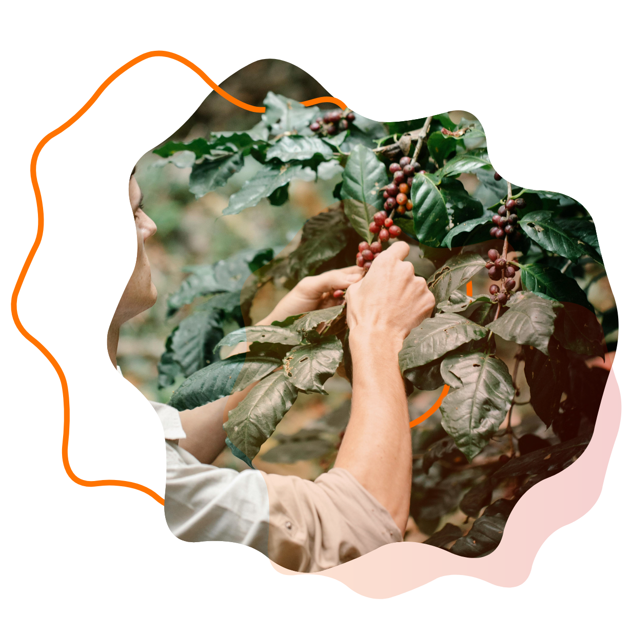 Sustainable Sourcing